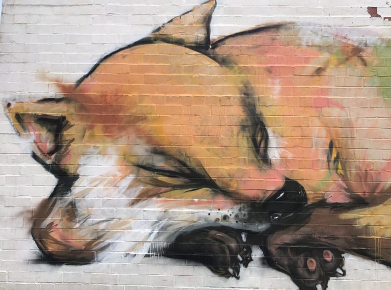 Atvērto durvju diena “NĀC, DARĪSIM KOPĀ”