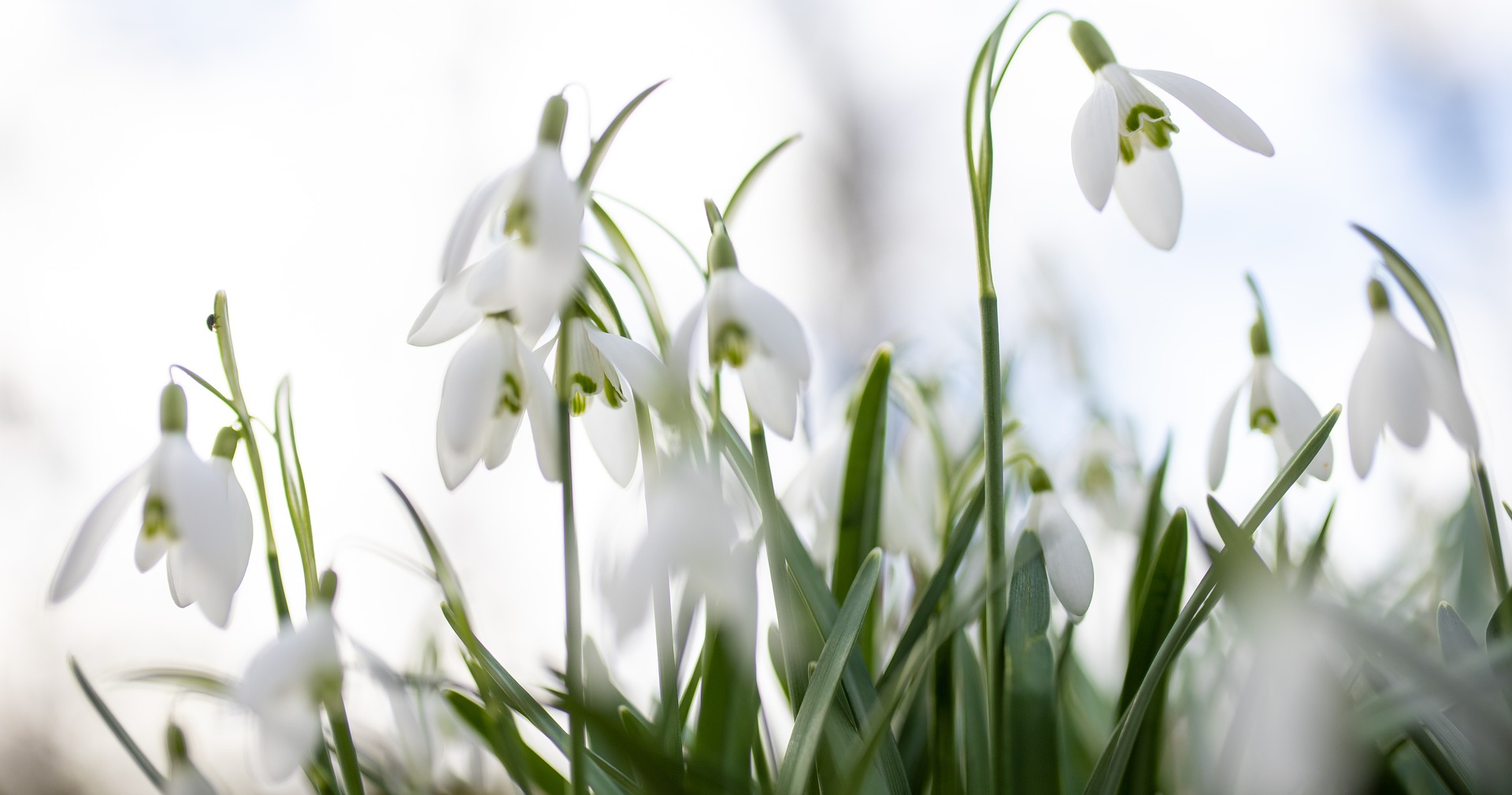 “Rīdzes Ziņu” jaunākais numurs gaida pavasari…
