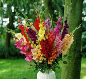 Zinību dienas svinības pamatskolā “Rīdze”