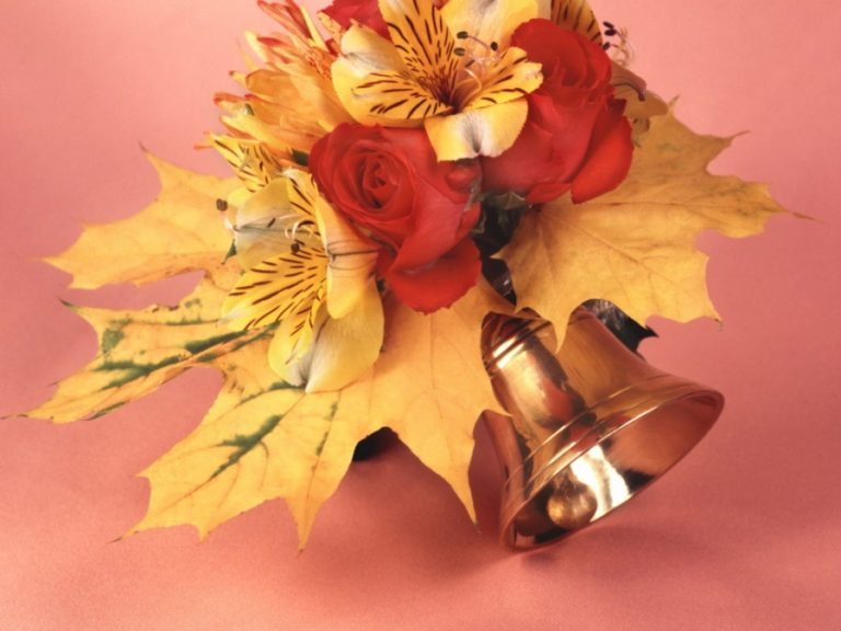 Sveiciens pamatskolai “Rīdze”!